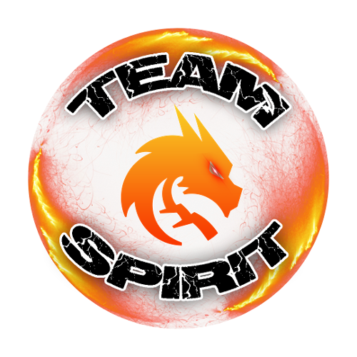 TEAM SPIRIT logo