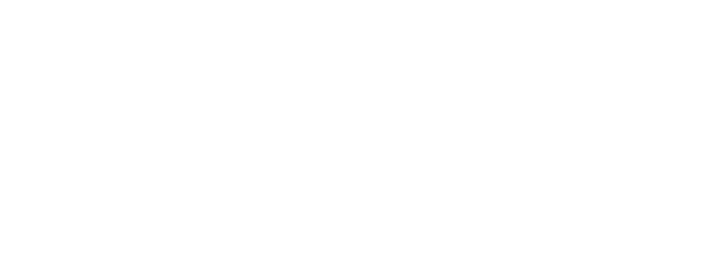 VAIL logo